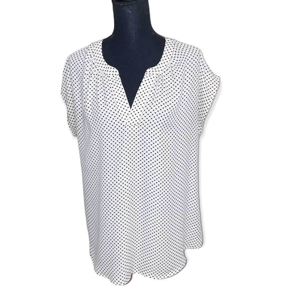 Db Established 1962 blouse